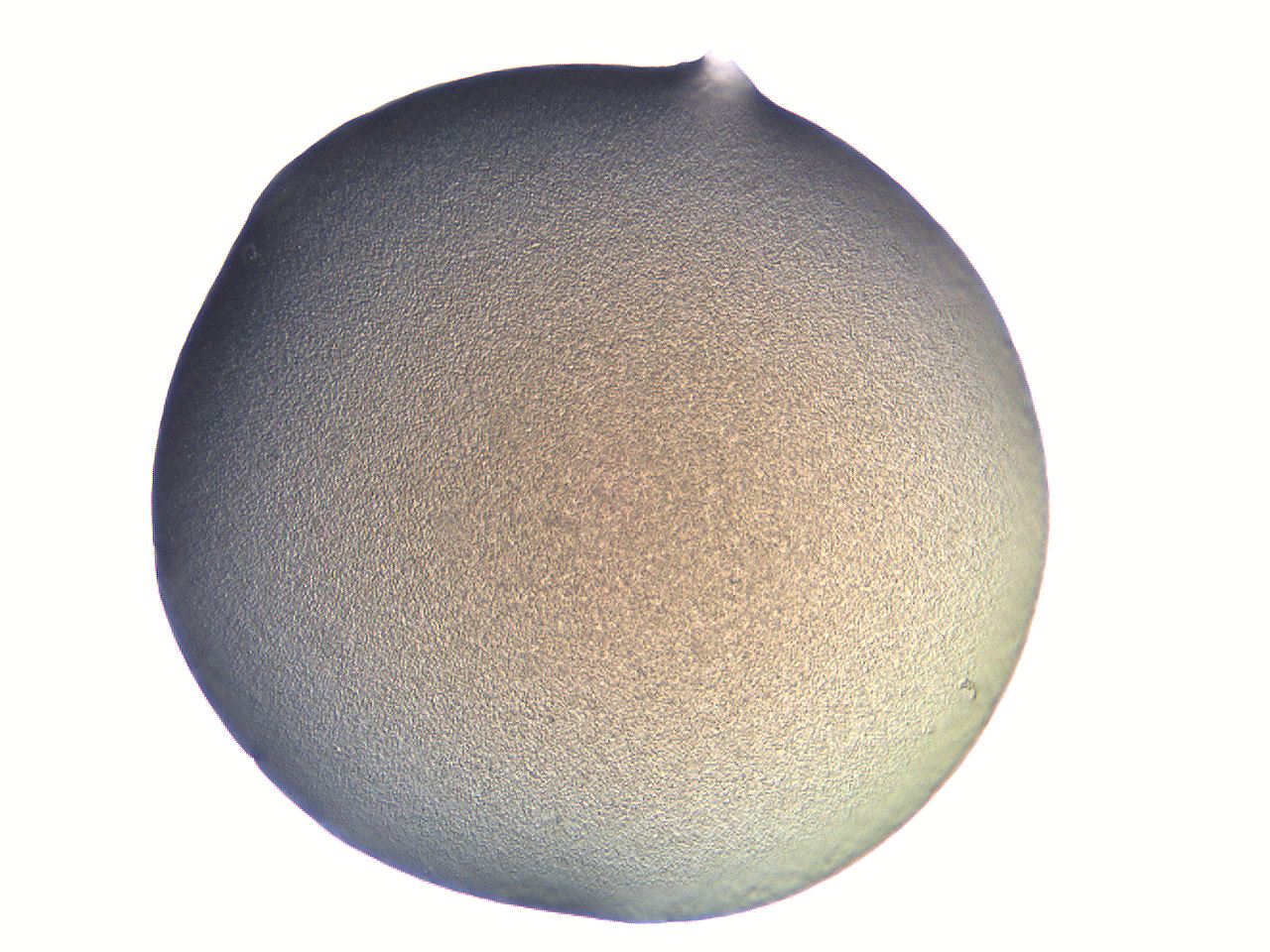 05l0_F9_ImagerDefaults_3.jpg