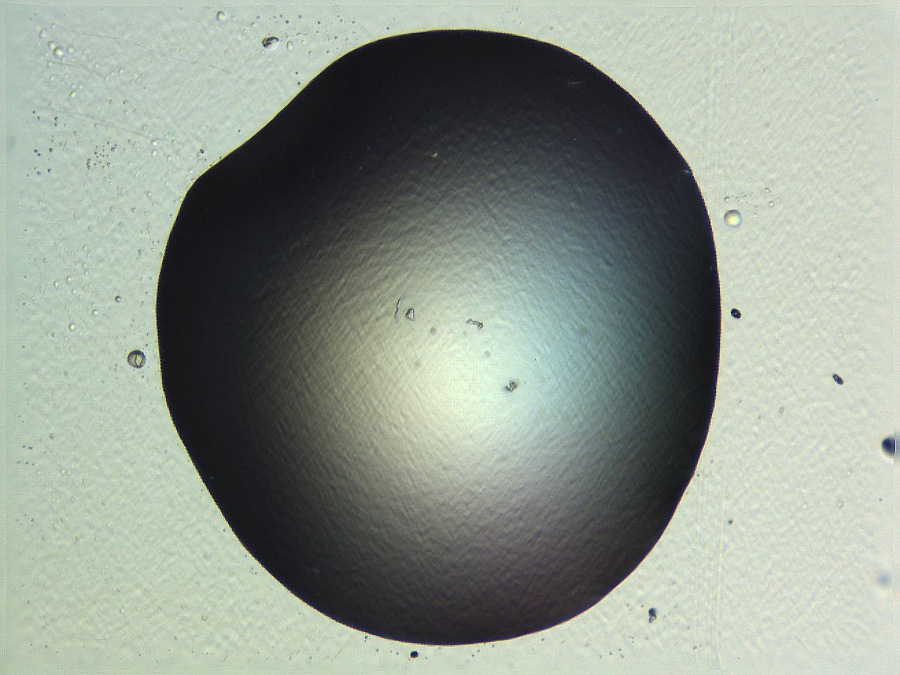 05l0_G6_ImagerDefaults_0.jpg