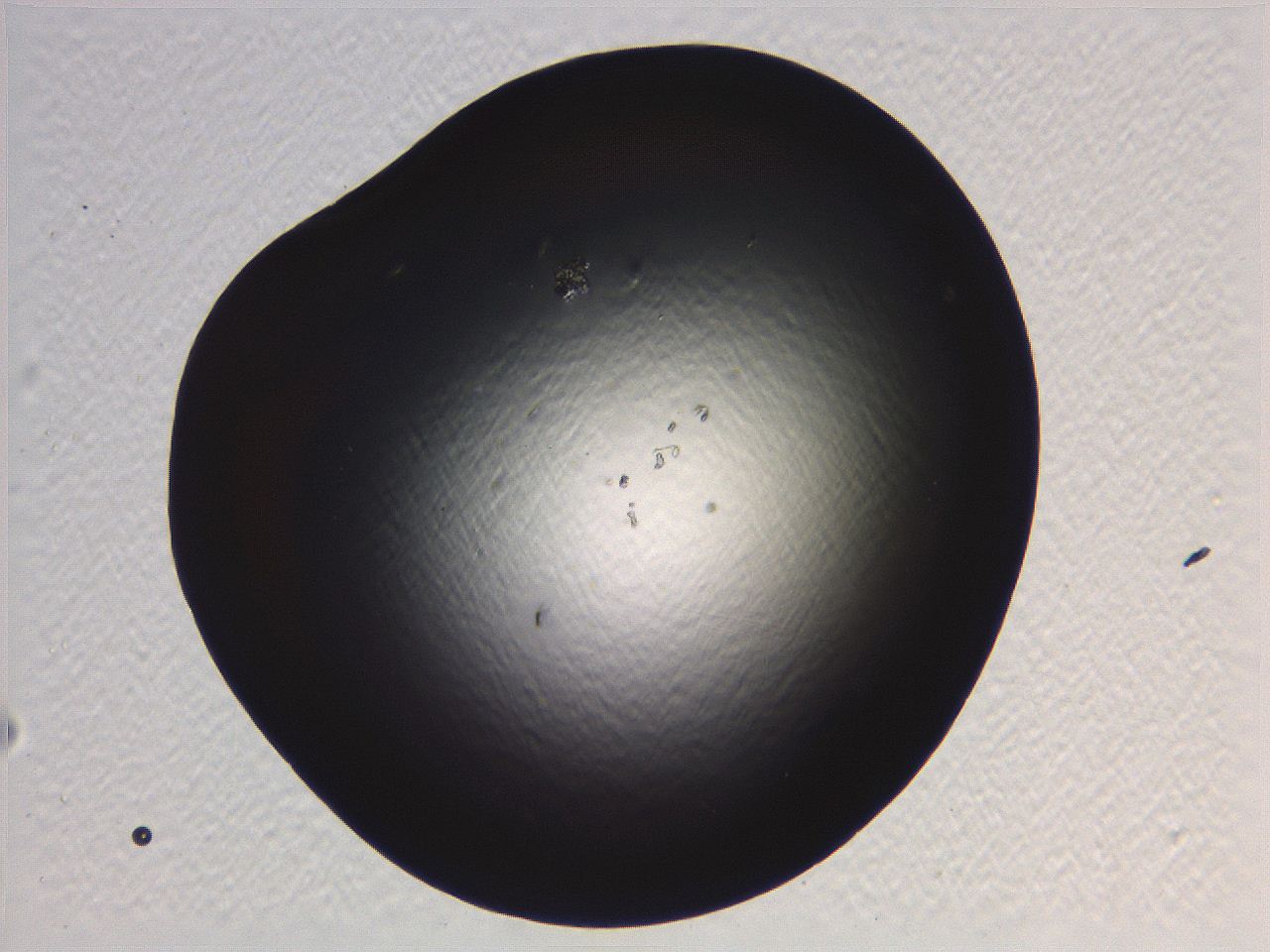 05l0_G7_ImagerDefaults_0.jpg
