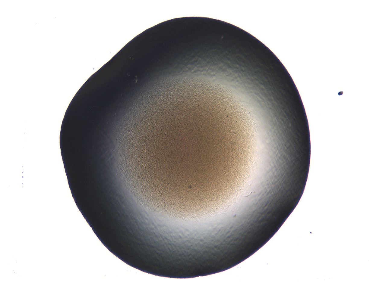 05l0_G8_ImagerDefaults_3.jpg