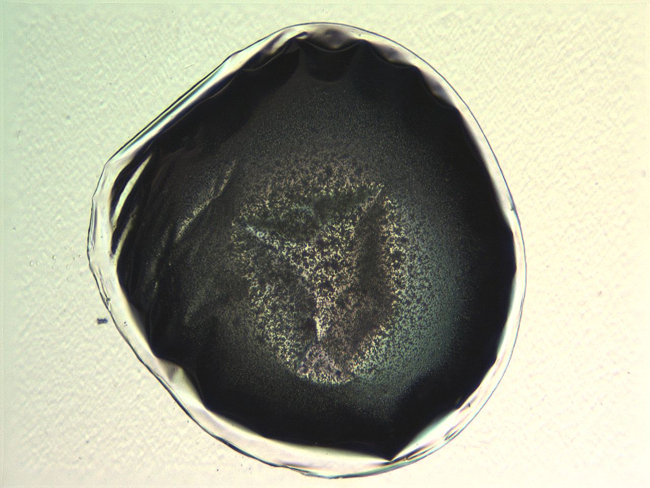 05l0_G12_ImagerDefaults_3.jpg