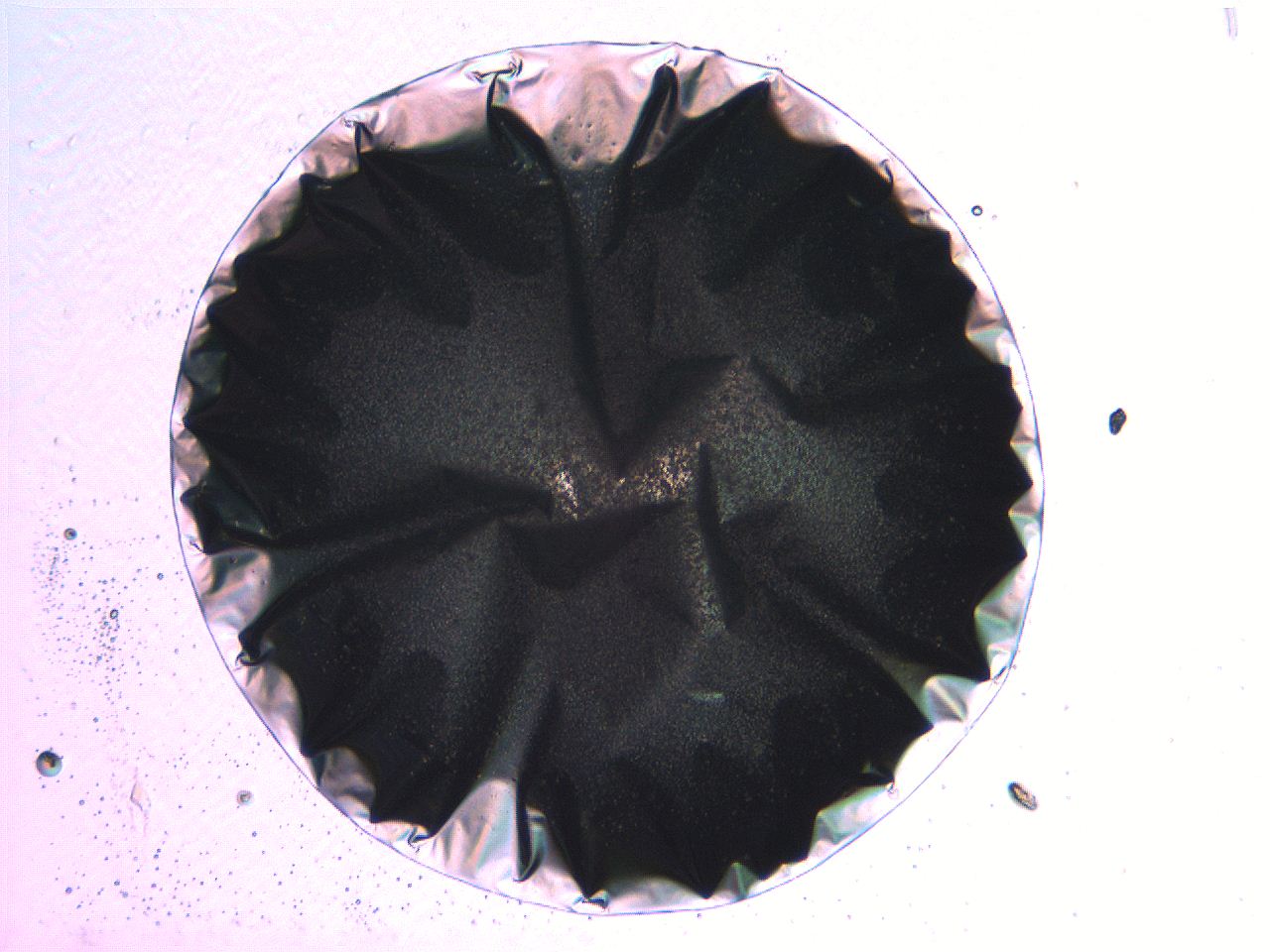 05l0_H5_ImagerDefaults_3.jpg