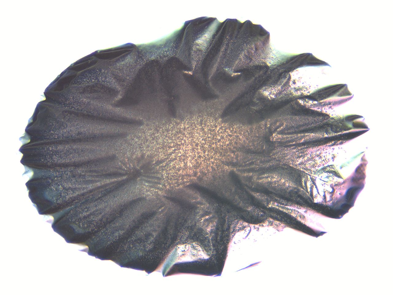 05l0_H11_ImagerDefaults_3.jpg