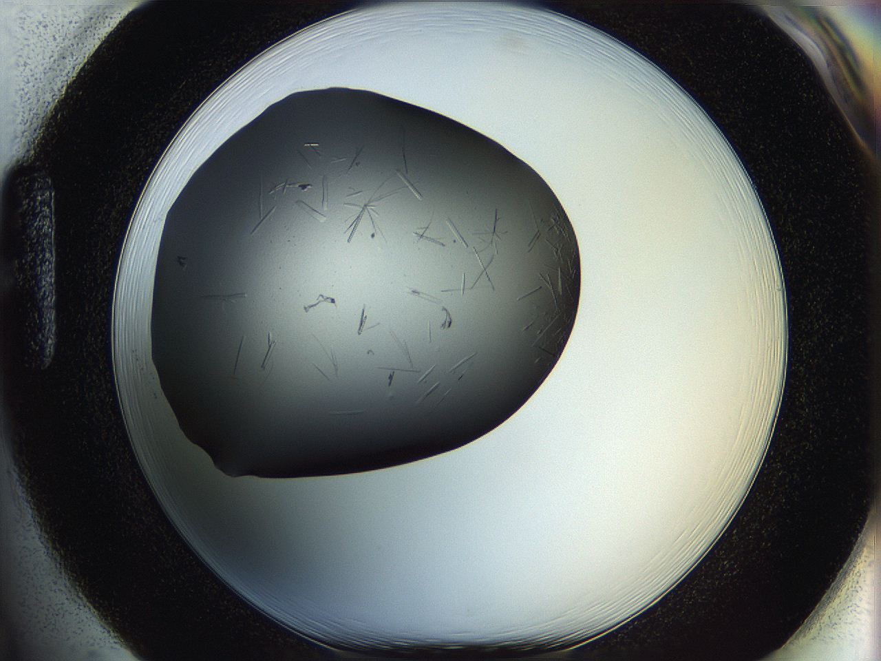 05lg_H1_ImagerDefaults_7.jpg
