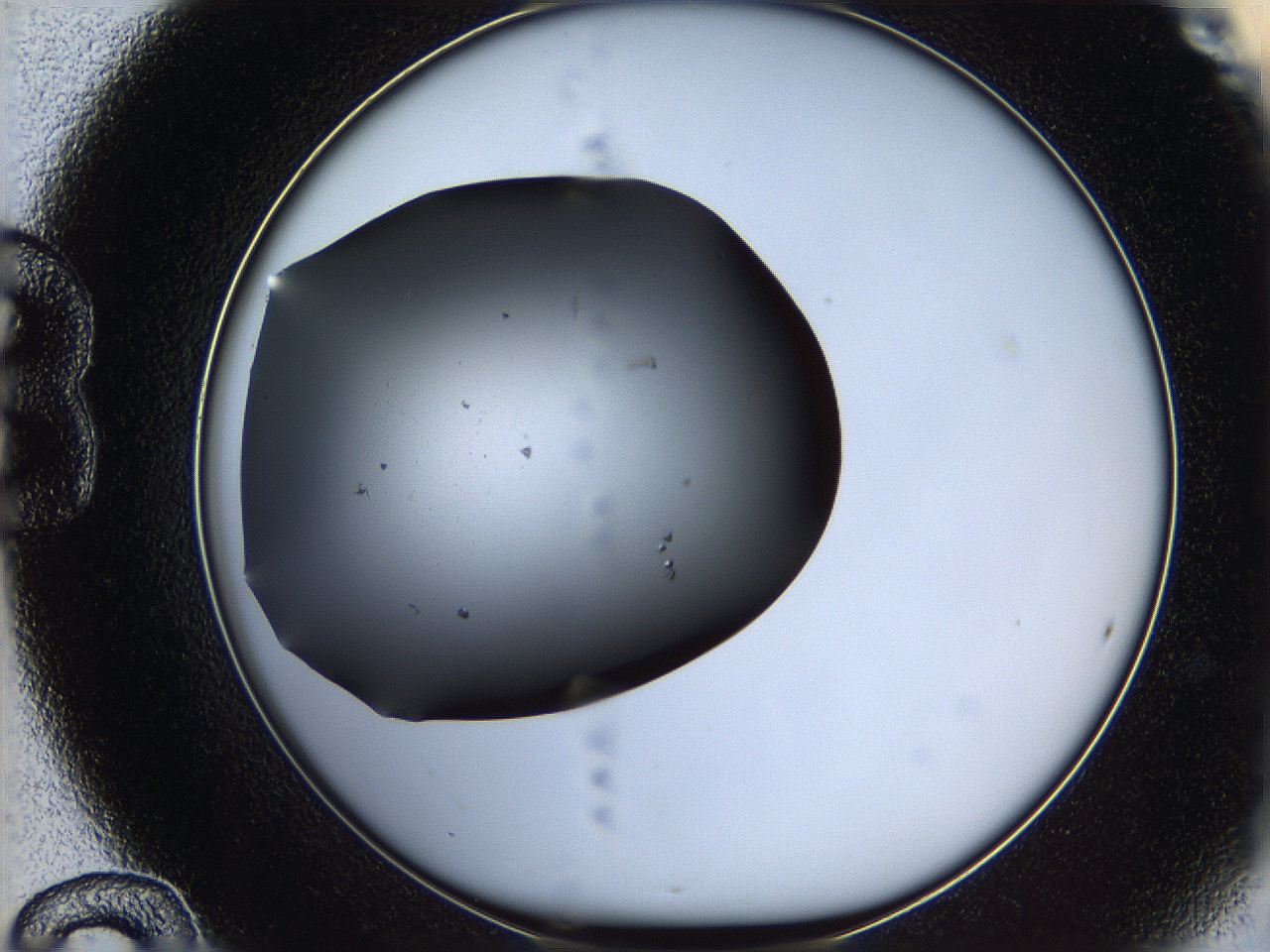 05lg_B12_ImagerDefaults_6.jpg
