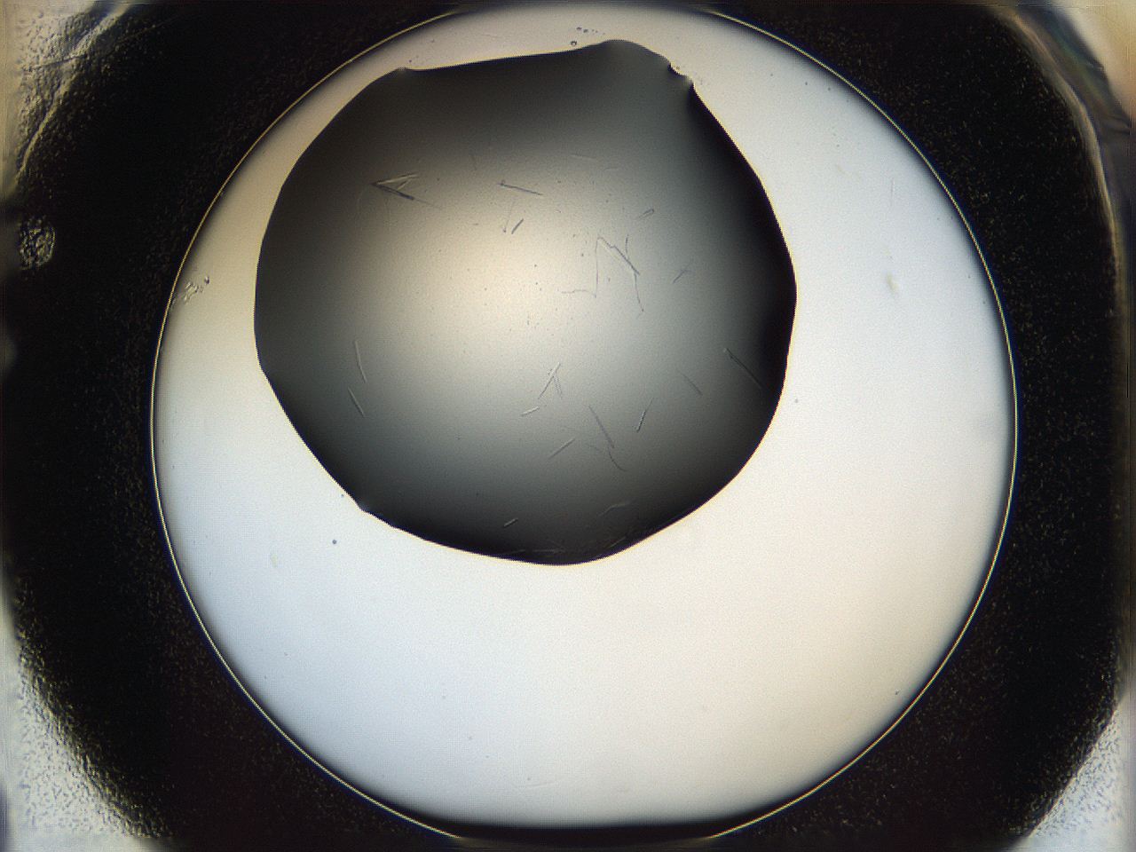 05lg_F1_ImagerDefaults_7.jpg
