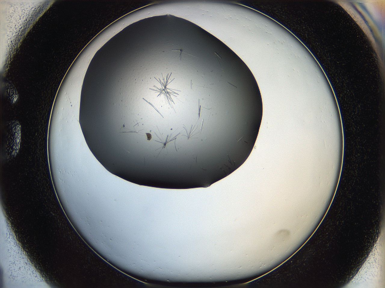 05li_G1_ImagerDefaults_7.jpg