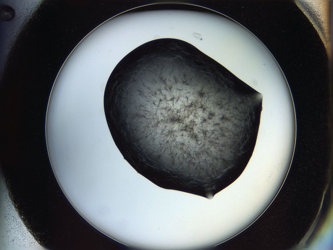 05lk_G2_ImagerDefaults_6.jpg