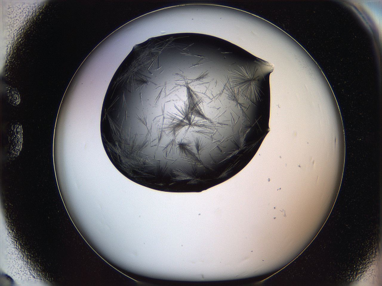 05lk_G8_ImagerDefaults_7.jpg