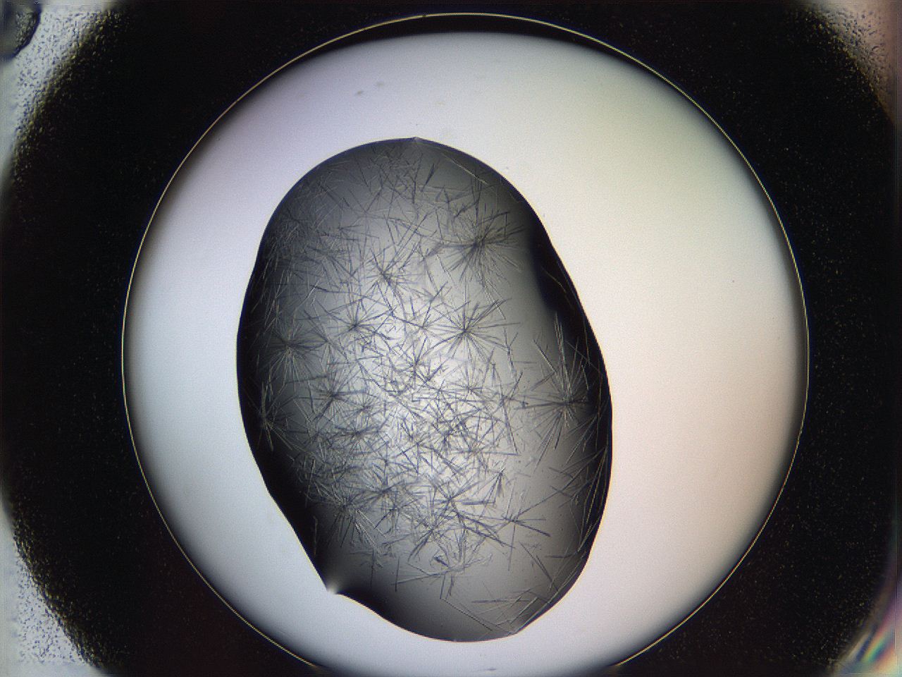05lk_G8_ImagerDefaults_8.jpg