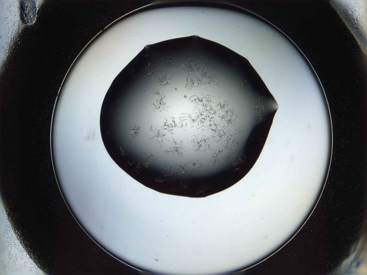 05lk_F11_ImagerDefaults_6.jpg