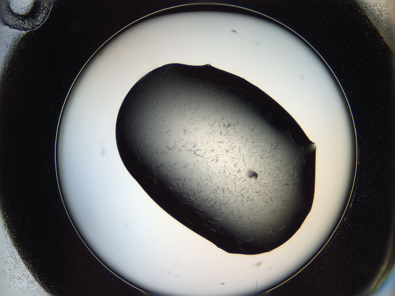 05lk_F10_ImagerDefaults_6.jpg