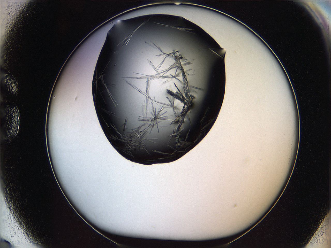 05lk_G9_ImagerDefaults_8.jpg