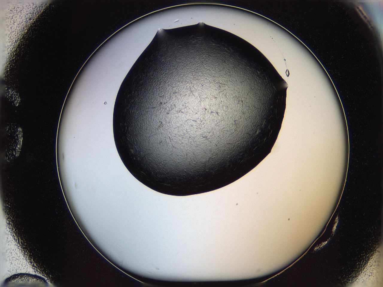 05lk_G10_ImagerDefaults_6.jpg