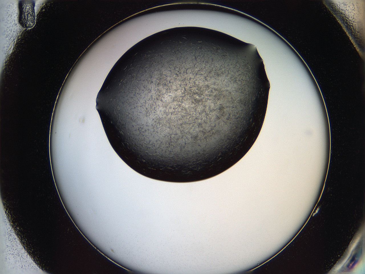 05lk_G11_ImagerDefaults_6.jpg
