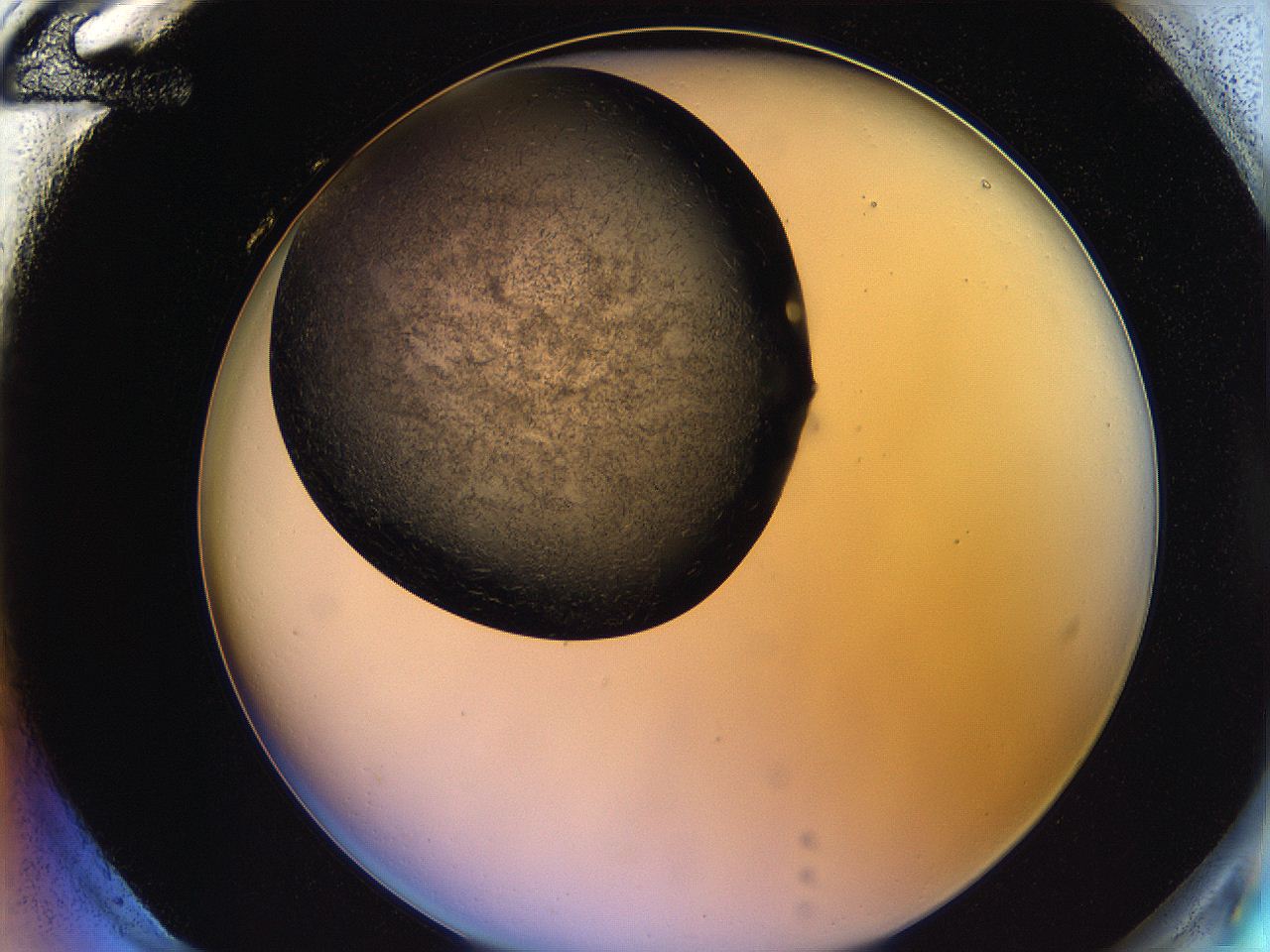 05lk_H12_ImagerDefaults_6.jpg