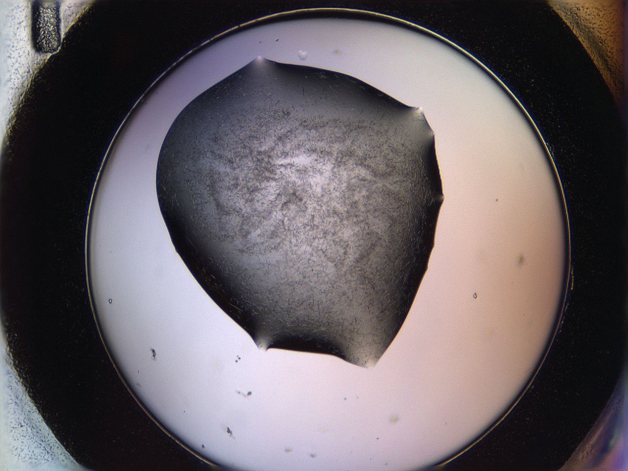 05lk_H11_ImagerDefaults_6.jpg
