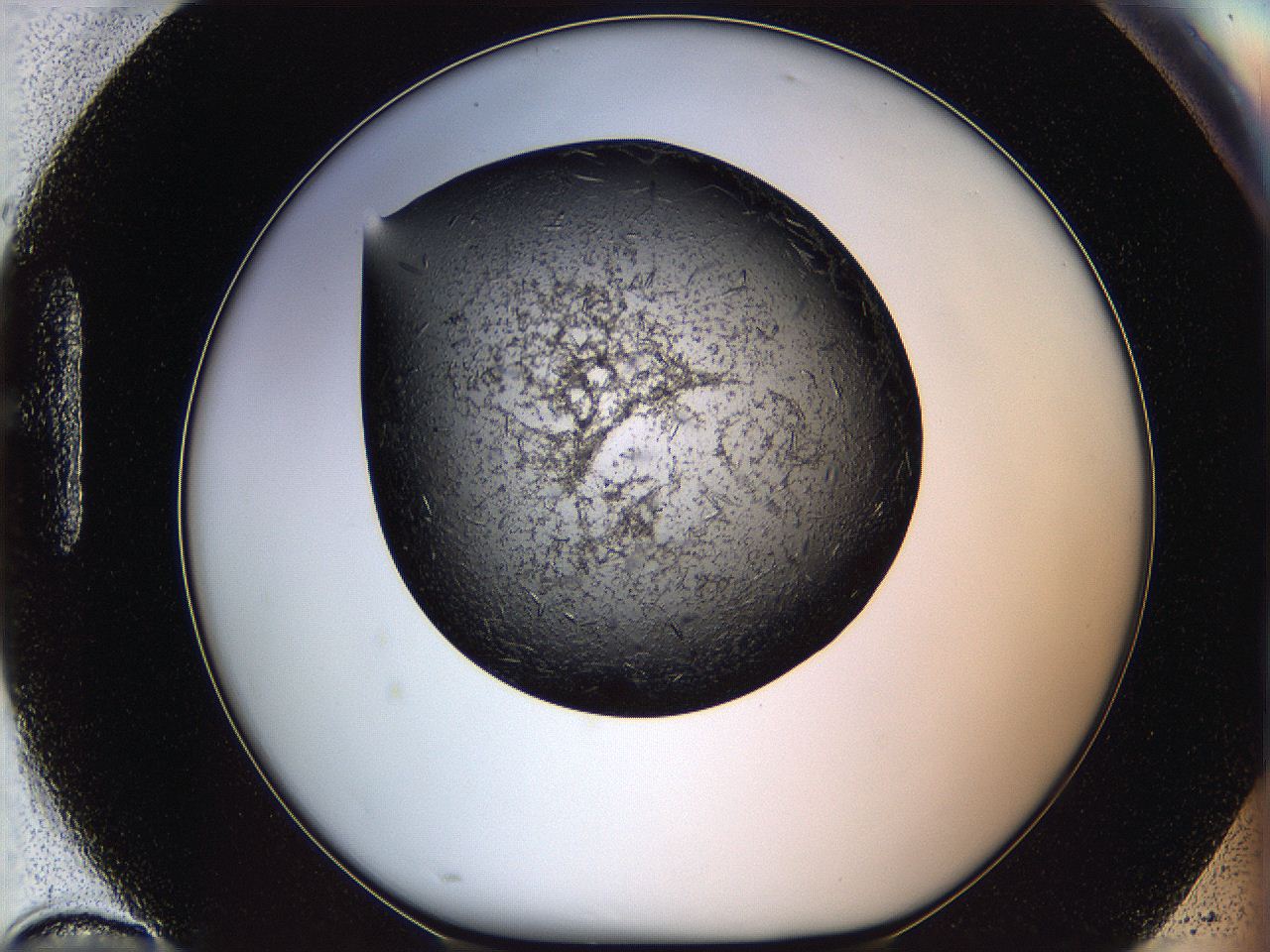 05lk_H10_ImagerDefaults_6.jpg