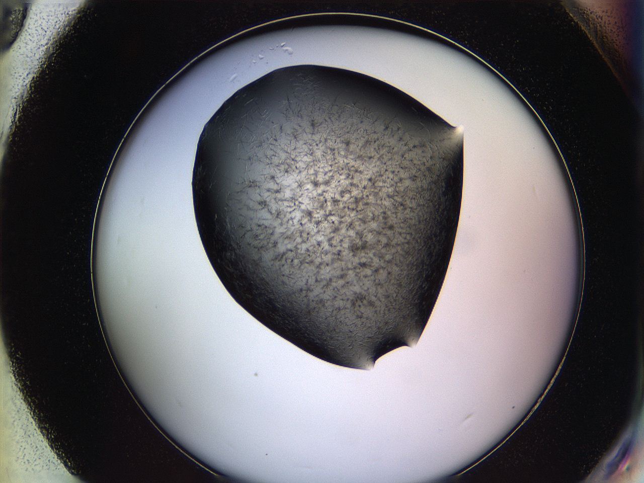 05lk_H9_ImagerDefaults_6.jpg
