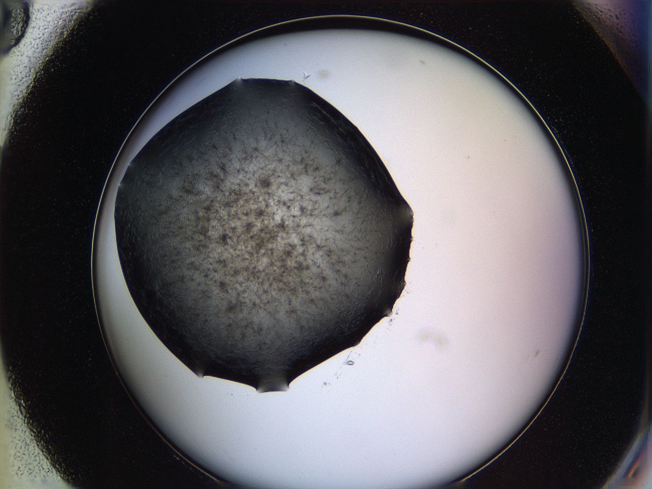 05lk_H8_ImagerDefaults_6.jpg