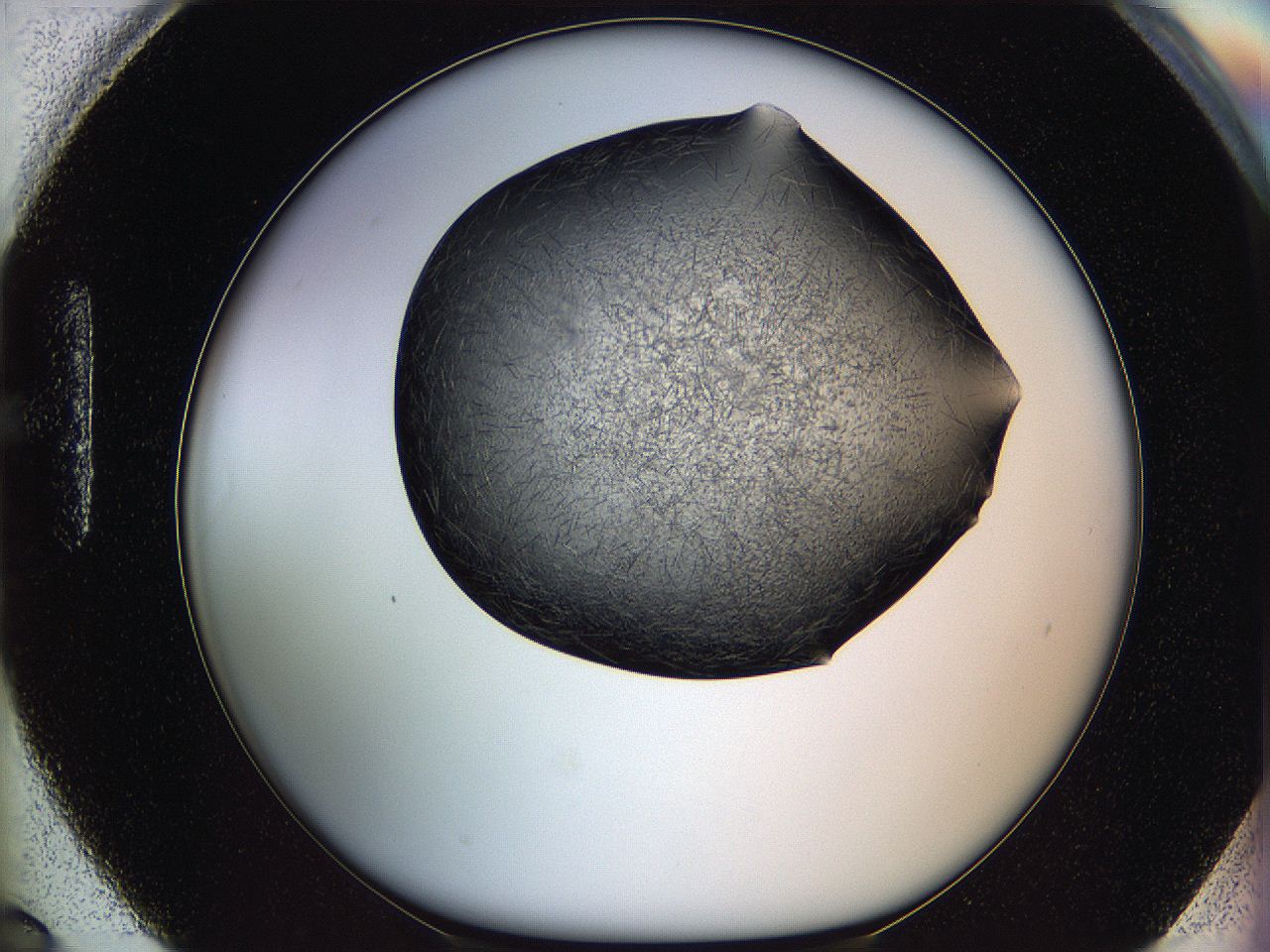 05lk_H6_ImagerDefaults_6.jpg