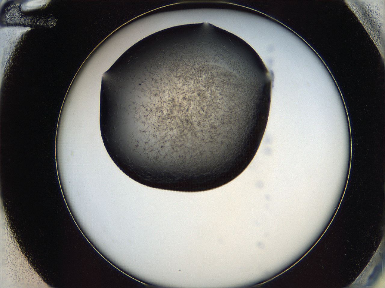 05lk_G12_ImagerDefaults_6.jpg
