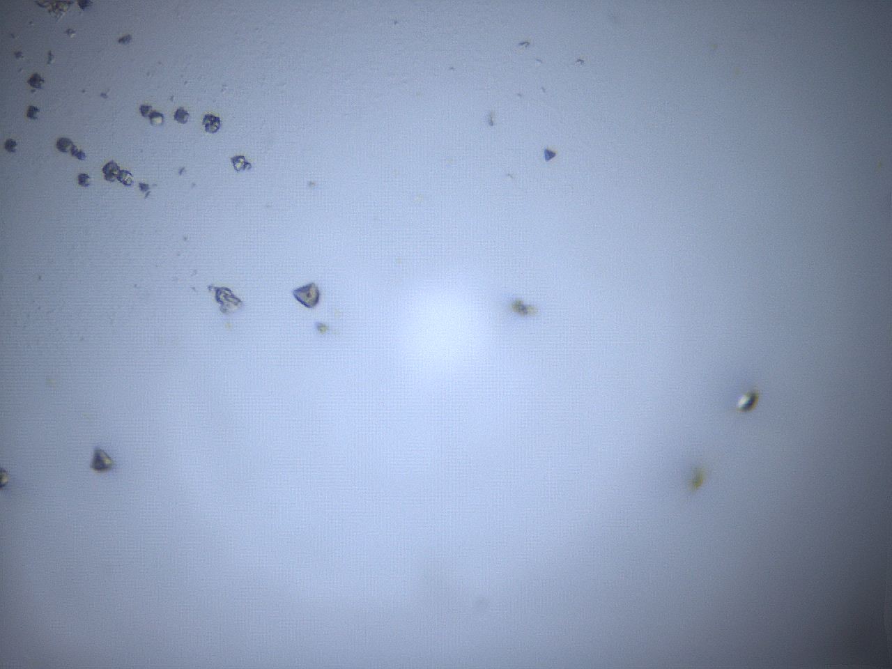 05ll_B12_ImagerDefaults_6.jpg