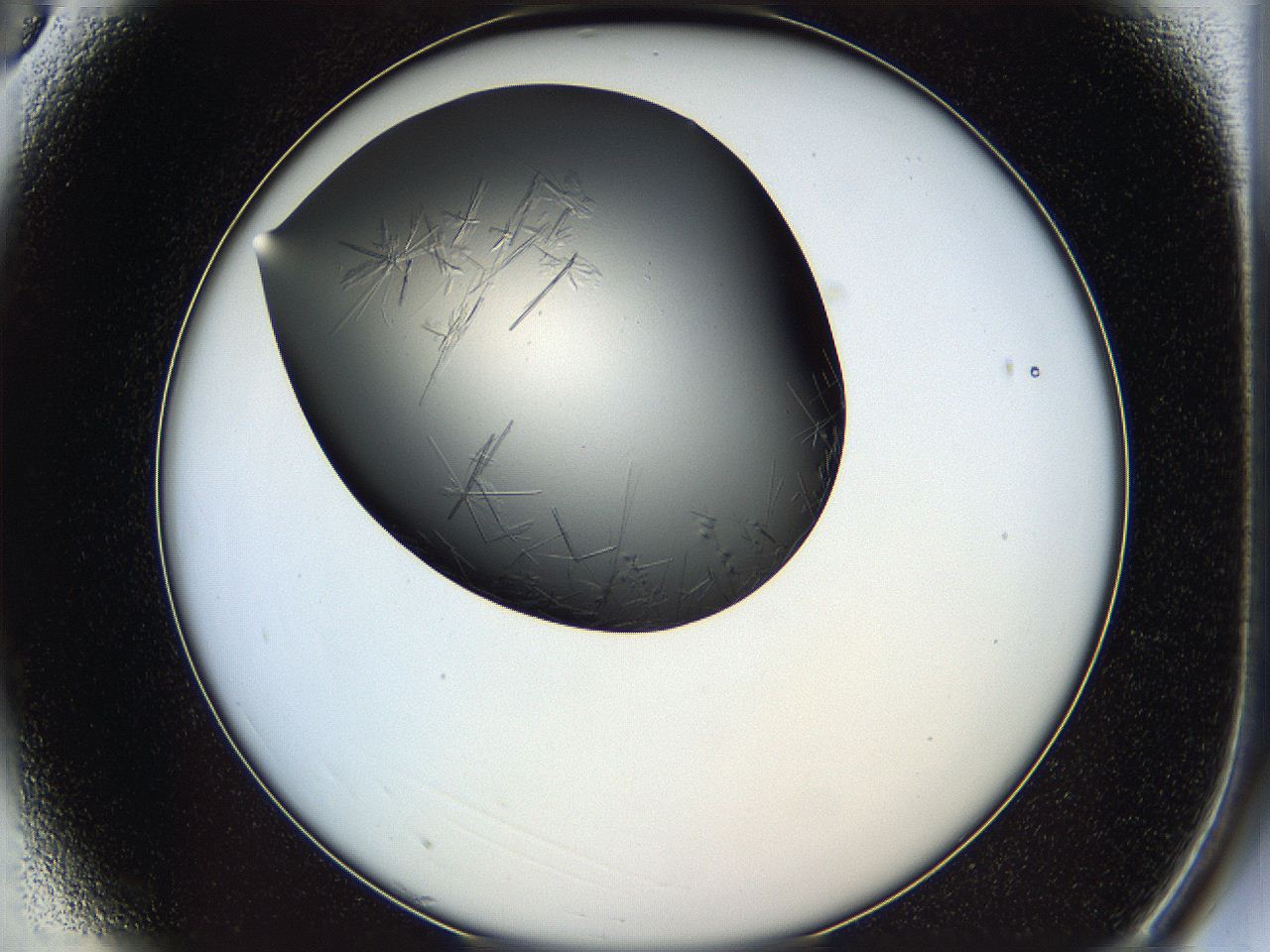 05ln_A3_ImagerDefaults_6.jpg
