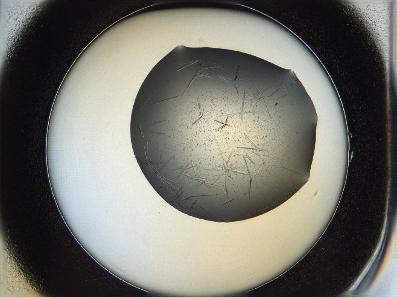 05ln_A1_ImagerDefaults_6.jpg