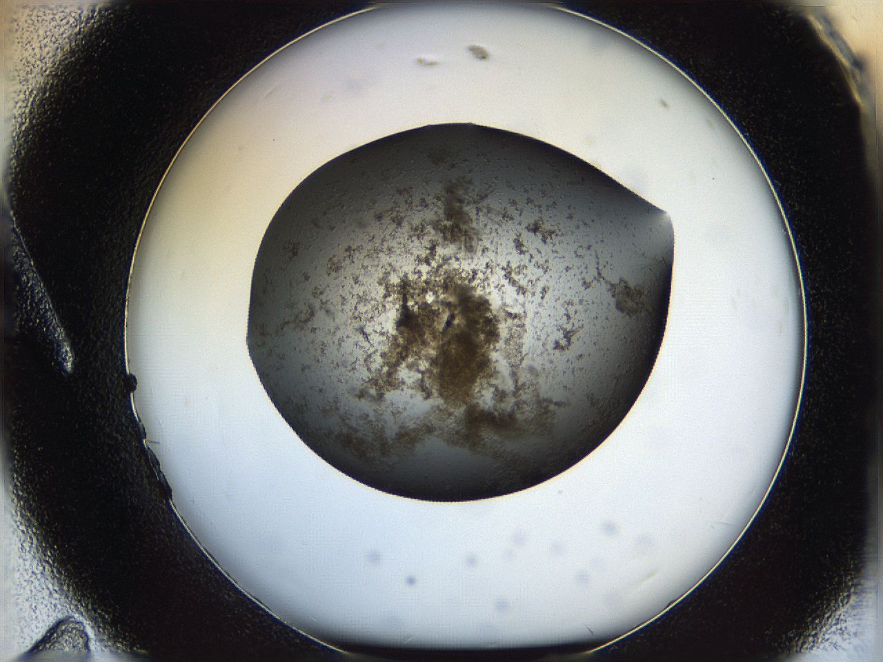 05ln_A11_ImagerDefaults_7.jpg