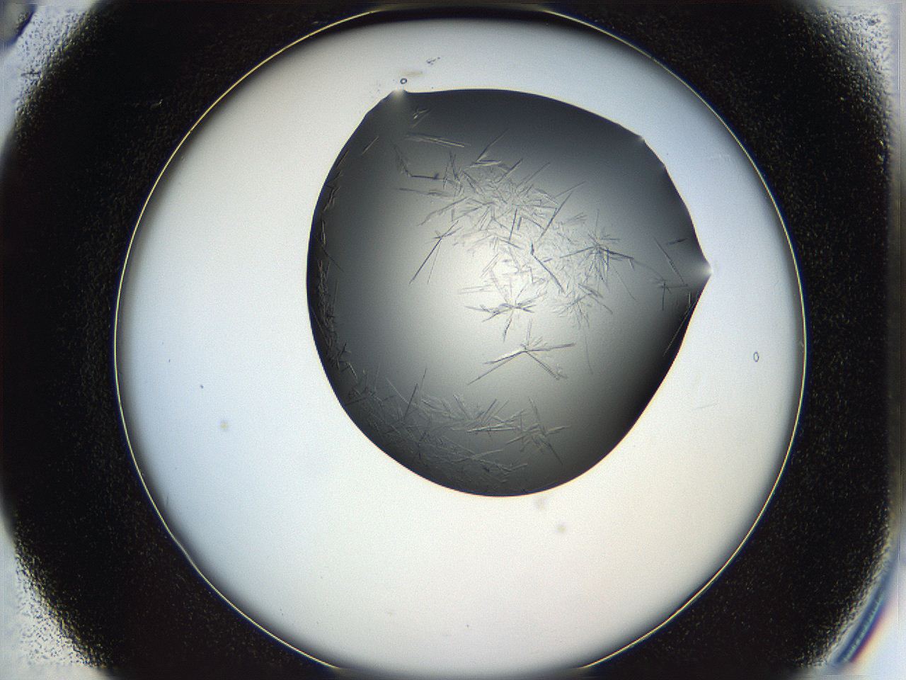 05ln_B5_ImagerDefaults_6.jpg