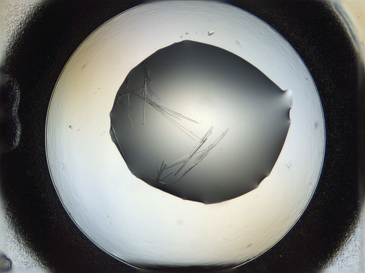 05ln_B6_ImagerDefaults_6.jpg