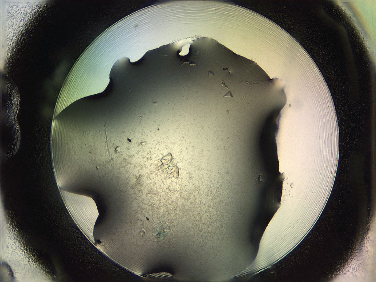 05ln_B8_ImagerDefaults_9.jpg