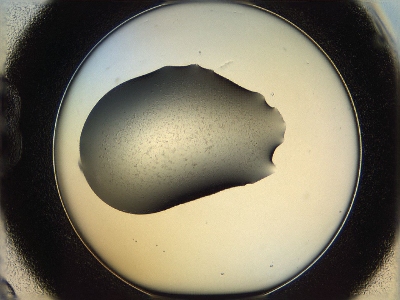 05ln_B9_ImagerDefaults_9.jpg