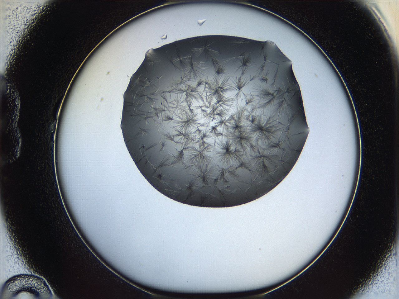 05ln_B10_ImagerDefaults_6.jpg