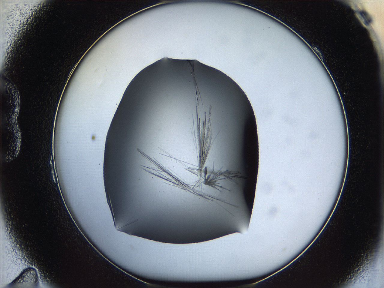 05ln_B11_ImagerDefaults_7.jpg