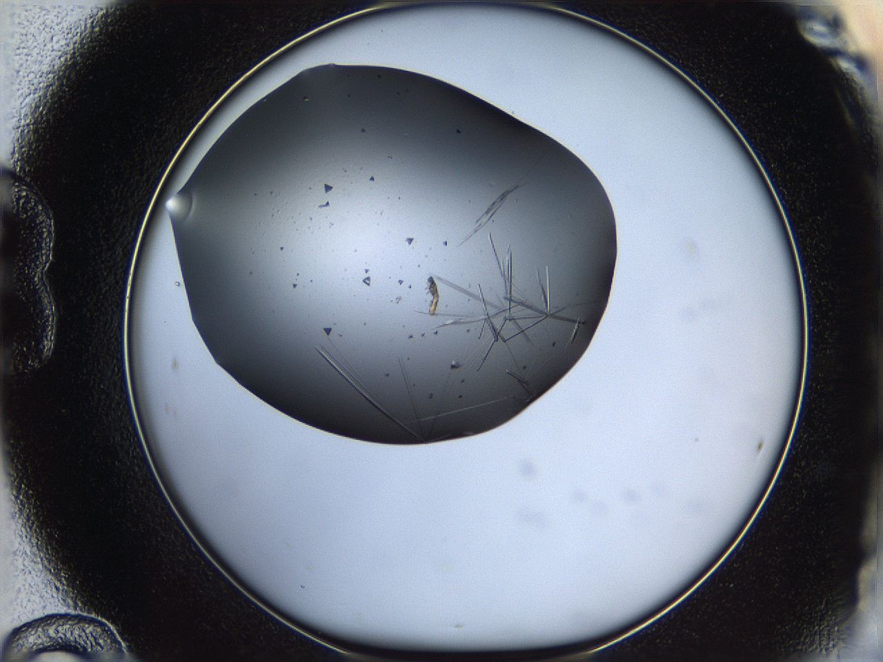 05ln_B12_ImagerDefaults_7.jpg