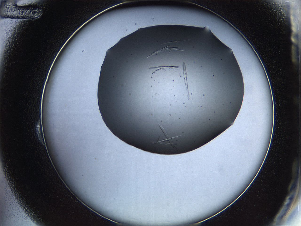 05ln_B12_ImagerDefaults_6.jpg