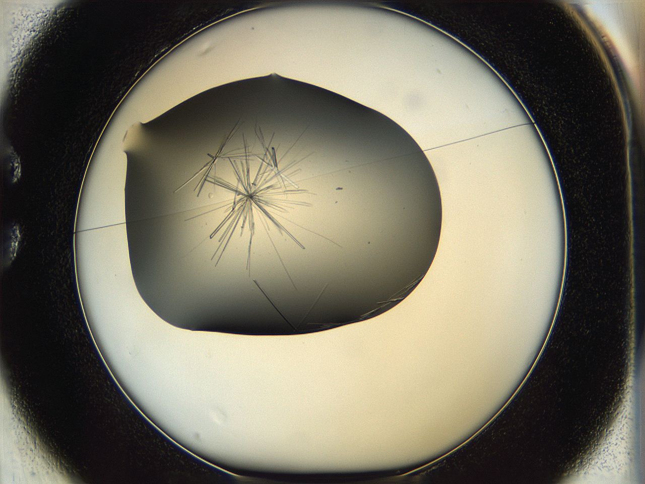 05ln_C1_ImagerDefaults_7.jpg