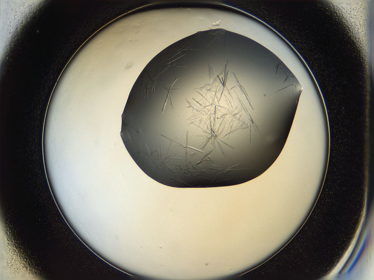 05ln_C1_ImagerDefaults_6.jpg