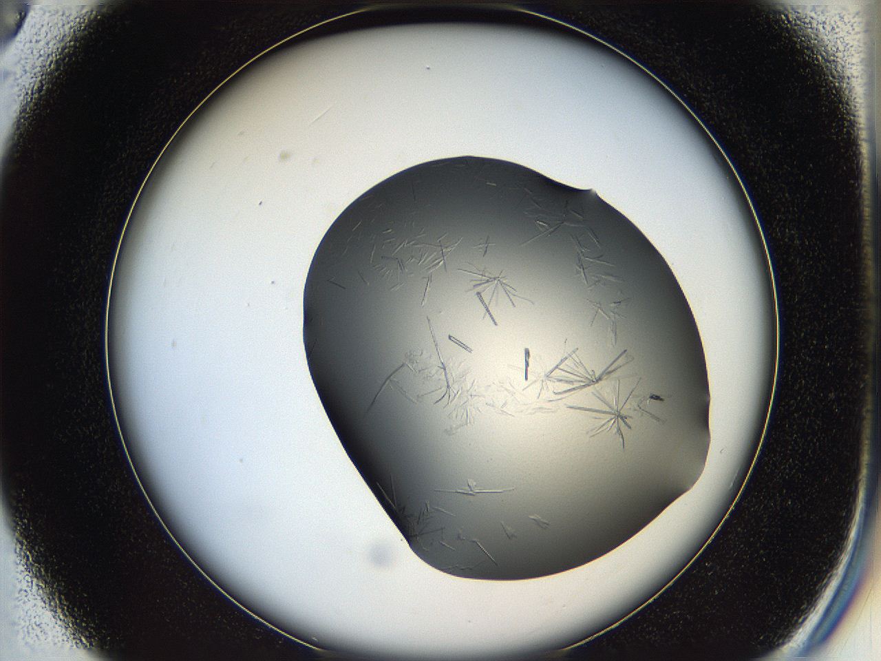05ln_C3_ImagerDefaults_6.jpg
