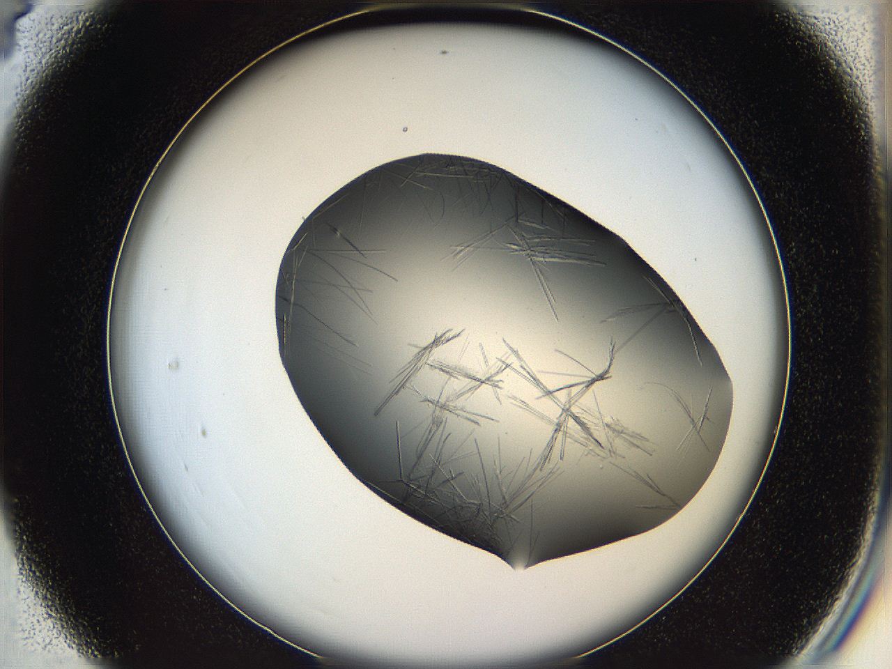 05ln_C4_ImagerDefaults_6.jpg