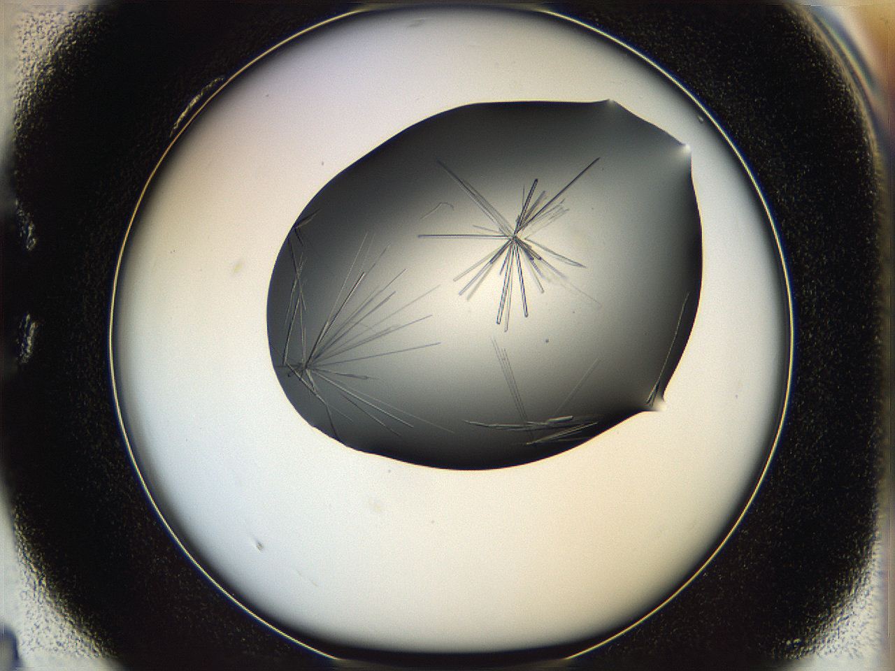 05ln_C4_ImagerDefaults_7.jpg