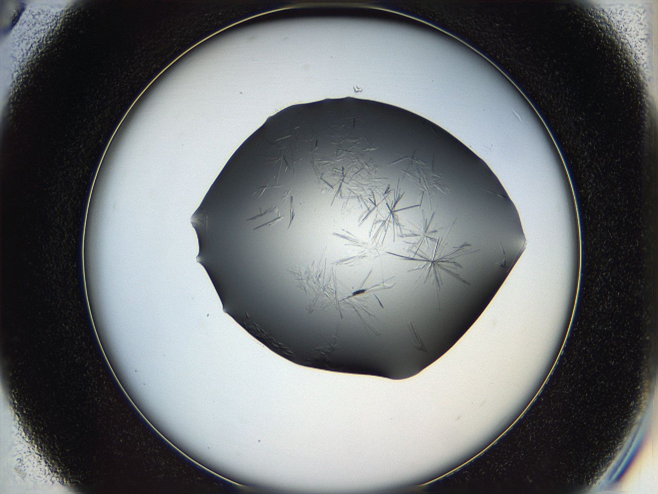 05ln_C5_ImagerDefaults_6.jpg