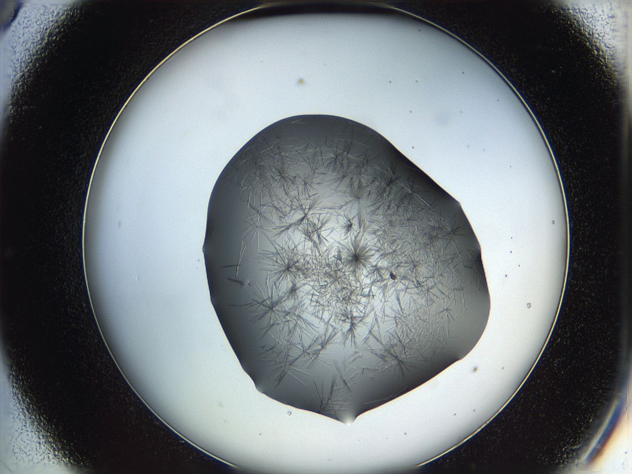 05ln_C9_ImagerDefaults_6.jpg