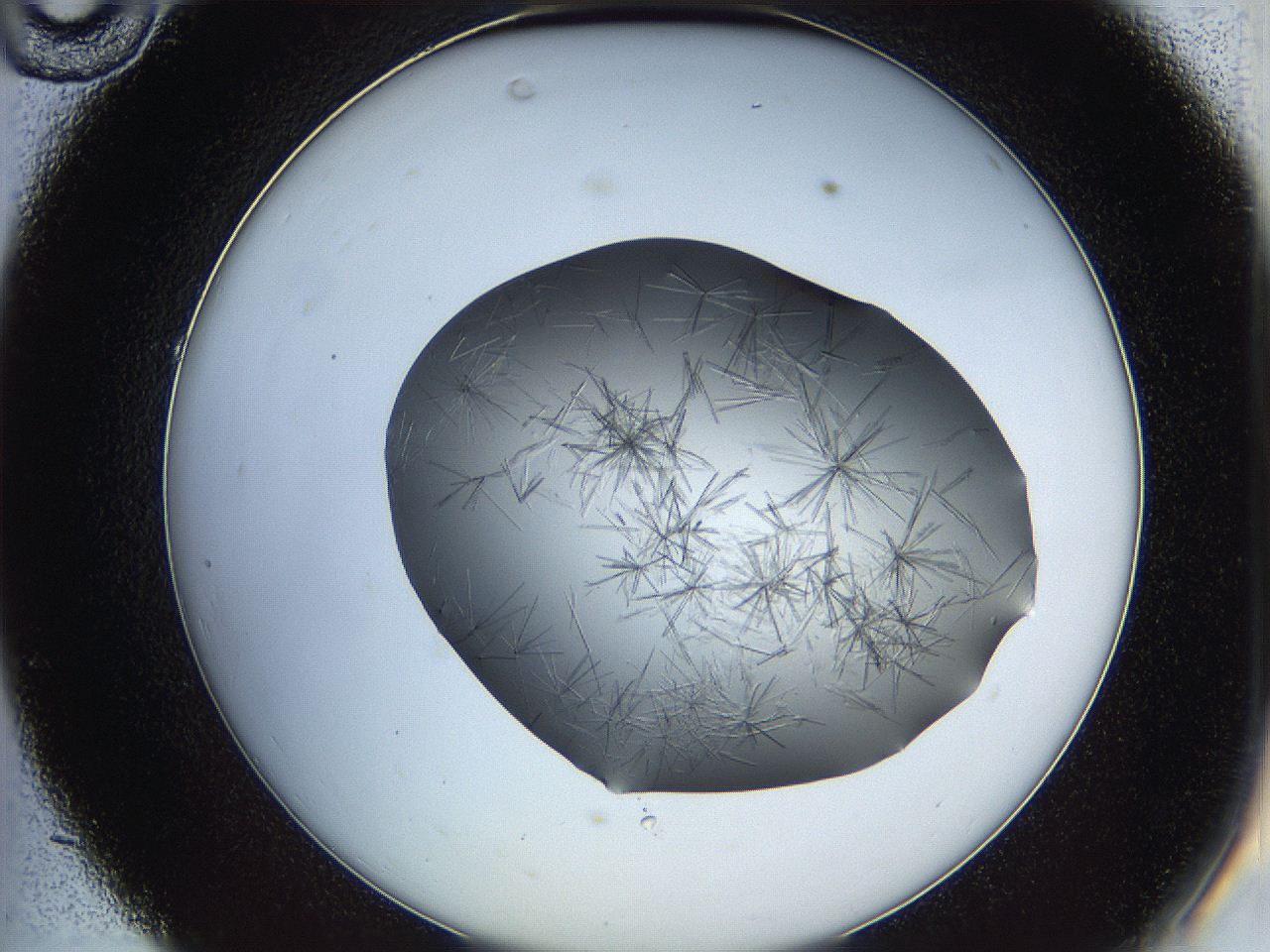 05ln_C10_ImagerDefaults_6.jpg