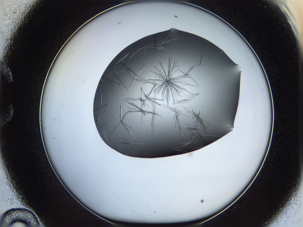 05ln_C10_ImagerDefaults_7.jpg