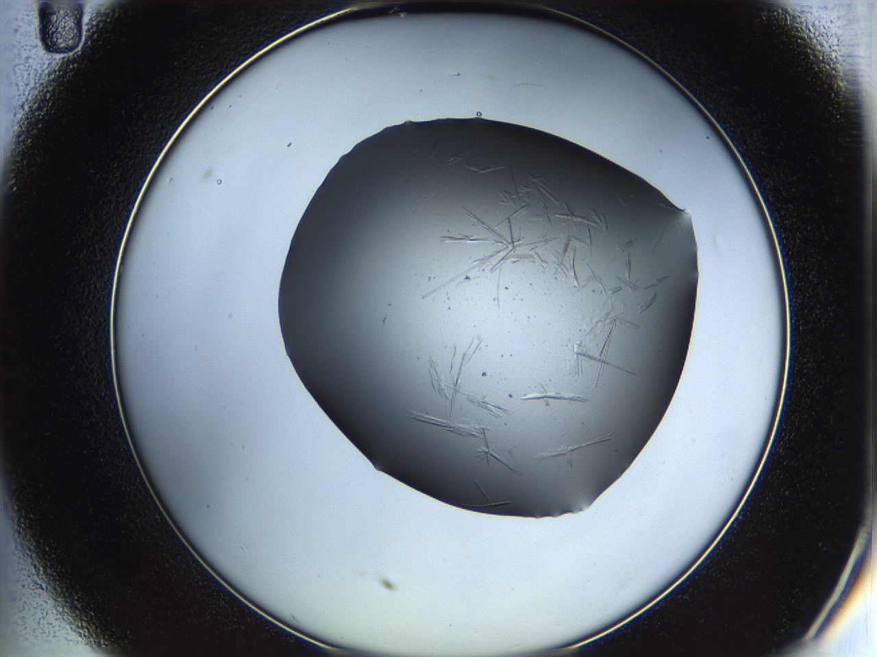 05ln_C11_ImagerDefaults_6.jpg