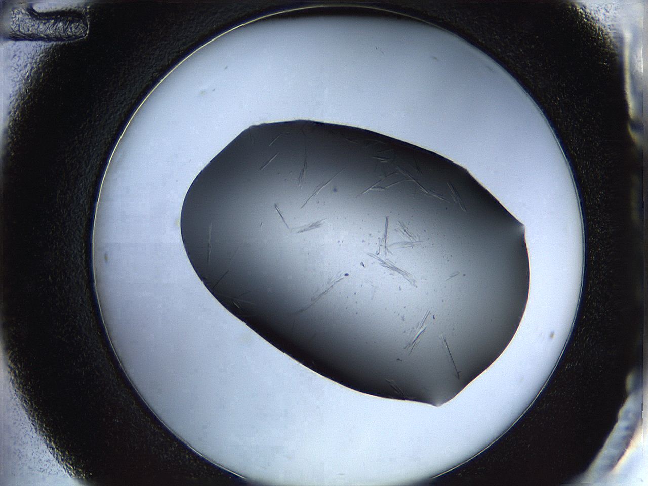 05ln_C12_ImagerDefaults_6.jpg