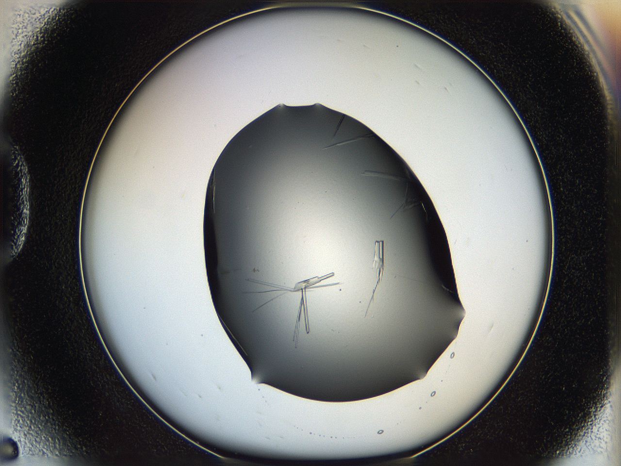05ln_D5_ImagerDefaults_7.jpg